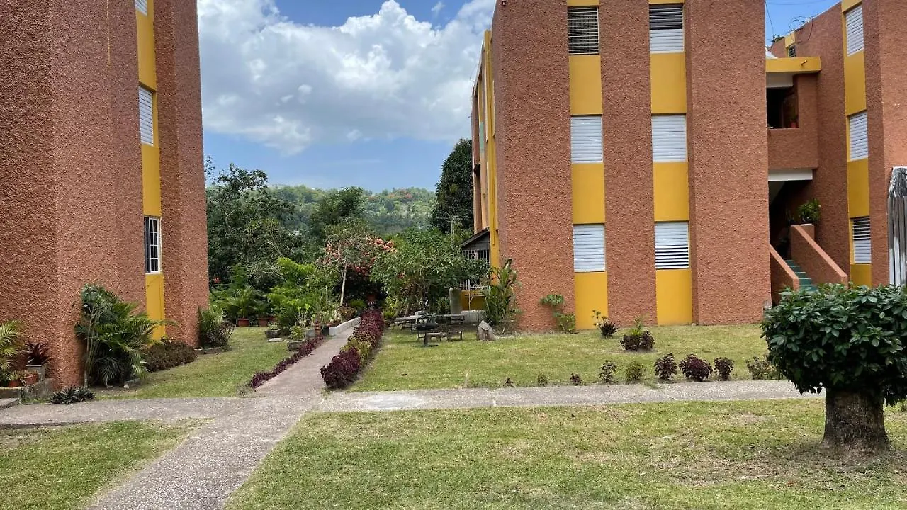 Apartmán Golden Meadows Oasis Golden Spring